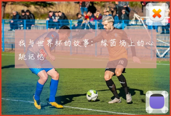 我与世界杯的故事：绿茵场上的心跳记忆