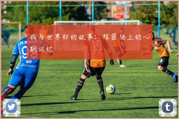 我与世界杯的故事：绿茵场上的心跳记忆